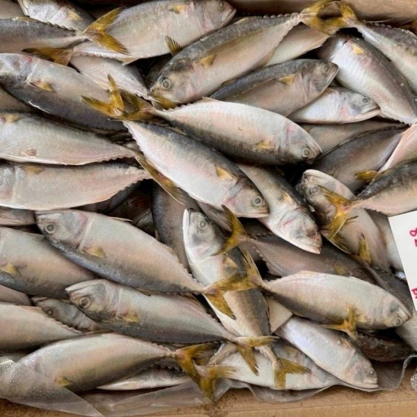 อาหารทะเลพร้อมส่ง